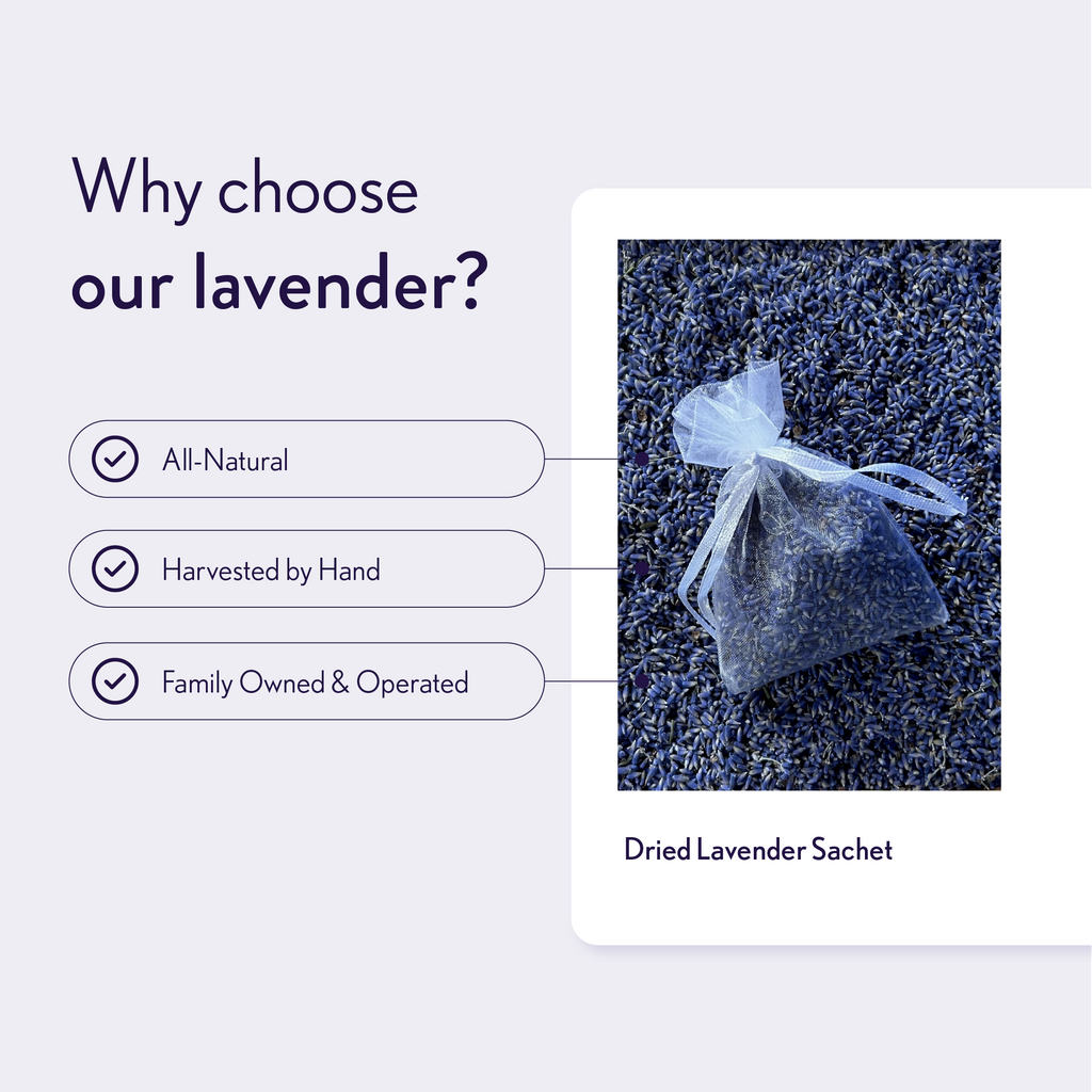 Lavender Sachets: Medium (4x6")