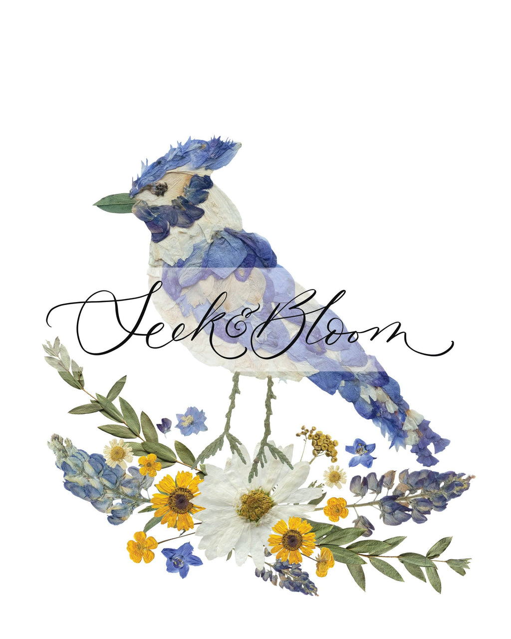 Bird Blue Jay Pressed Flower Print 11x14