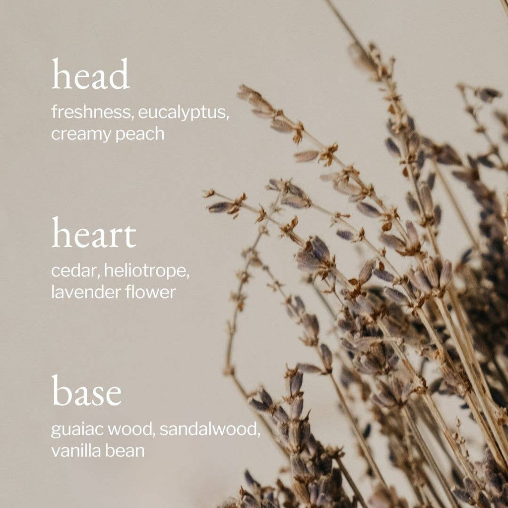 Reed Diffuser | Lavender, Sandalwood & Vanilla
