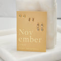 November Birthstone Mix & Match Earring Set | Spring 2026