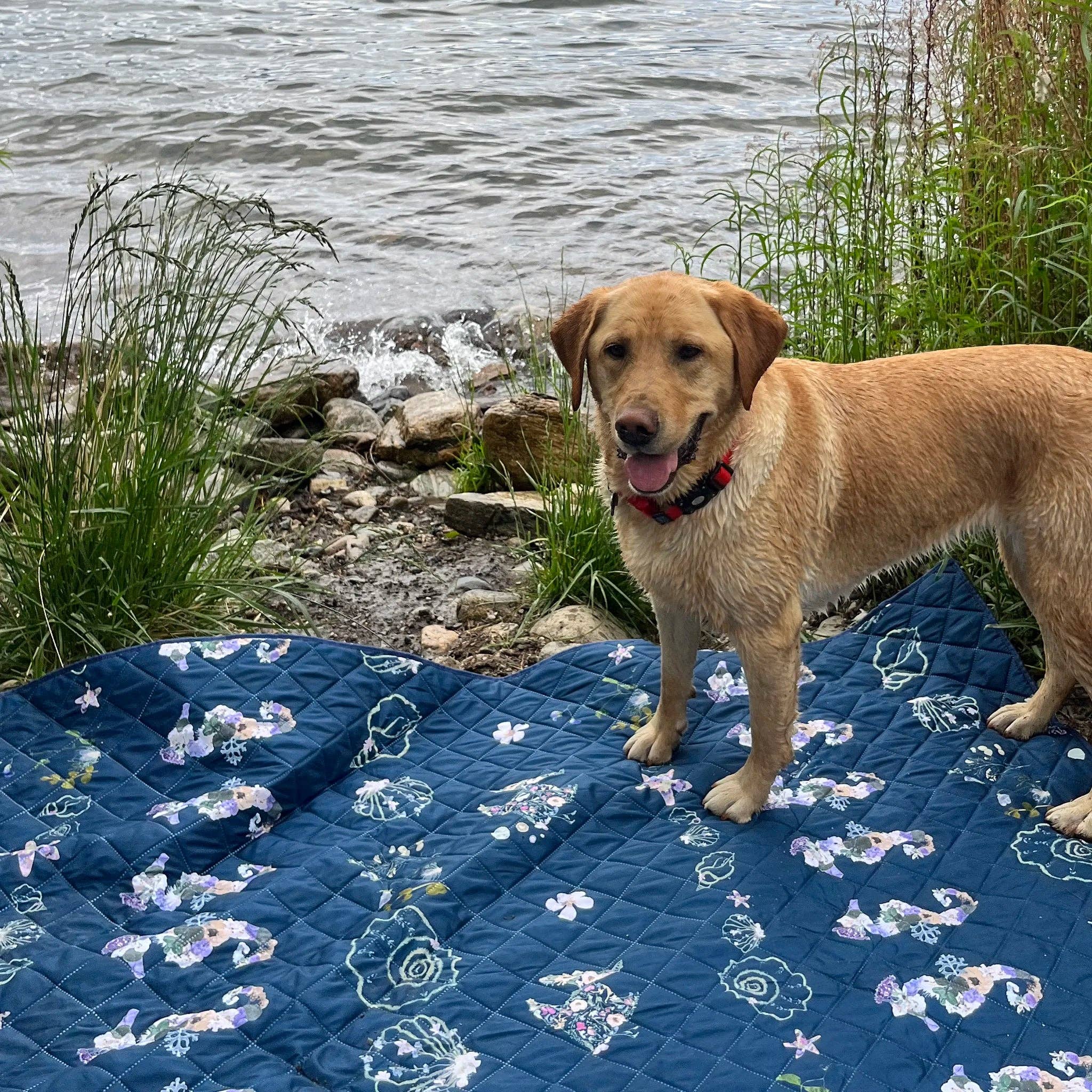 Coastal Drift Voyager Blanket