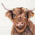Lunch Napkin 20pk-  Highland Cow