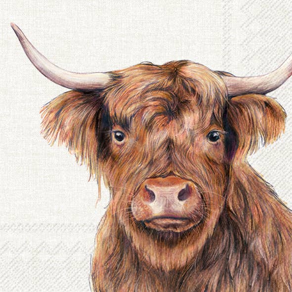 Lunch Napkin 20pk-  Highland Cow