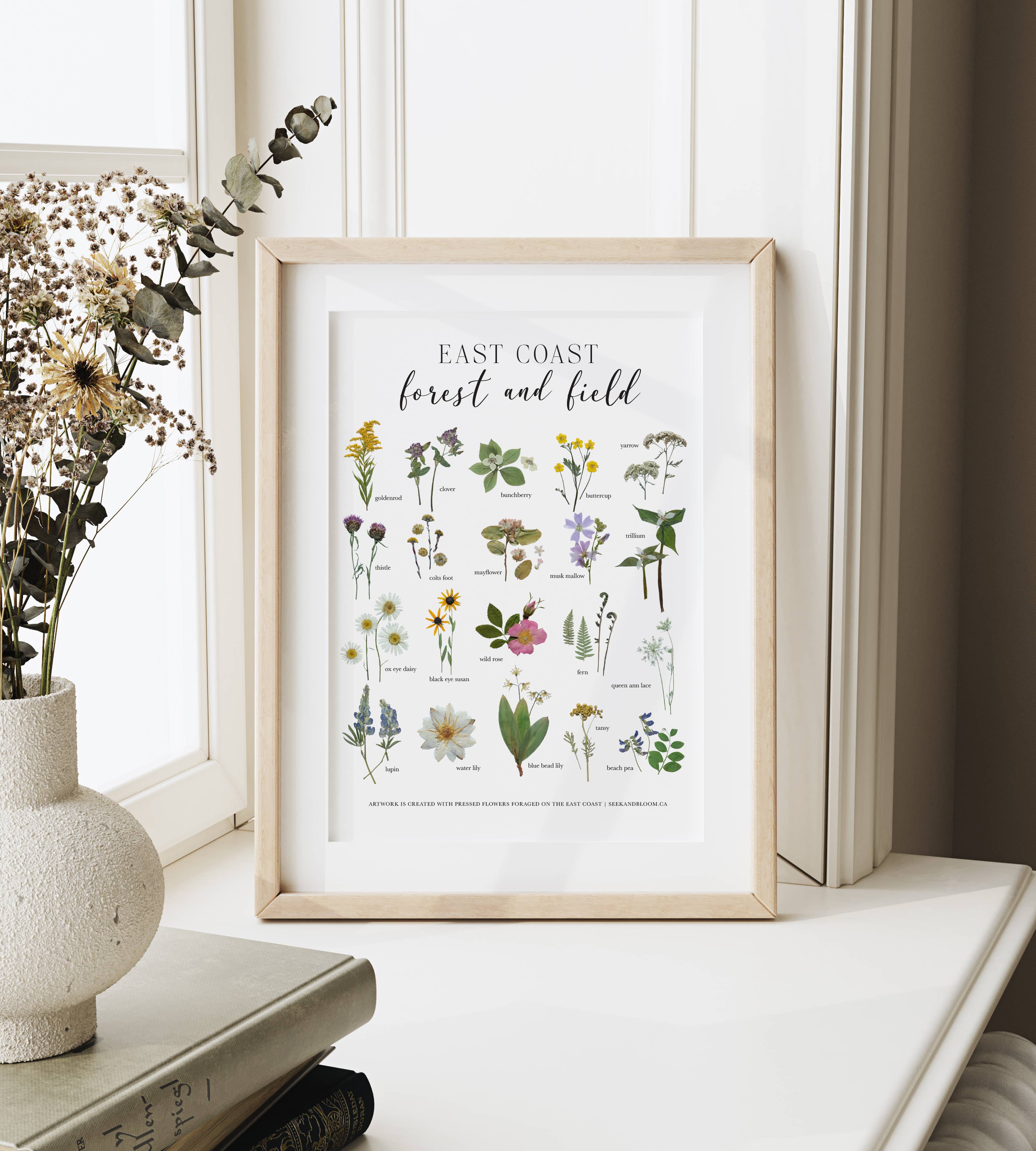 East Coast Wildflowers Pressed Flower Print 8x10