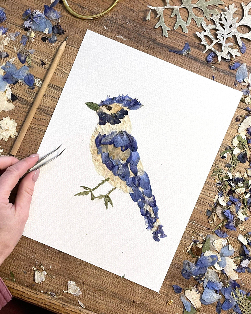 Blue Jay Pressed Flower Print 8x10