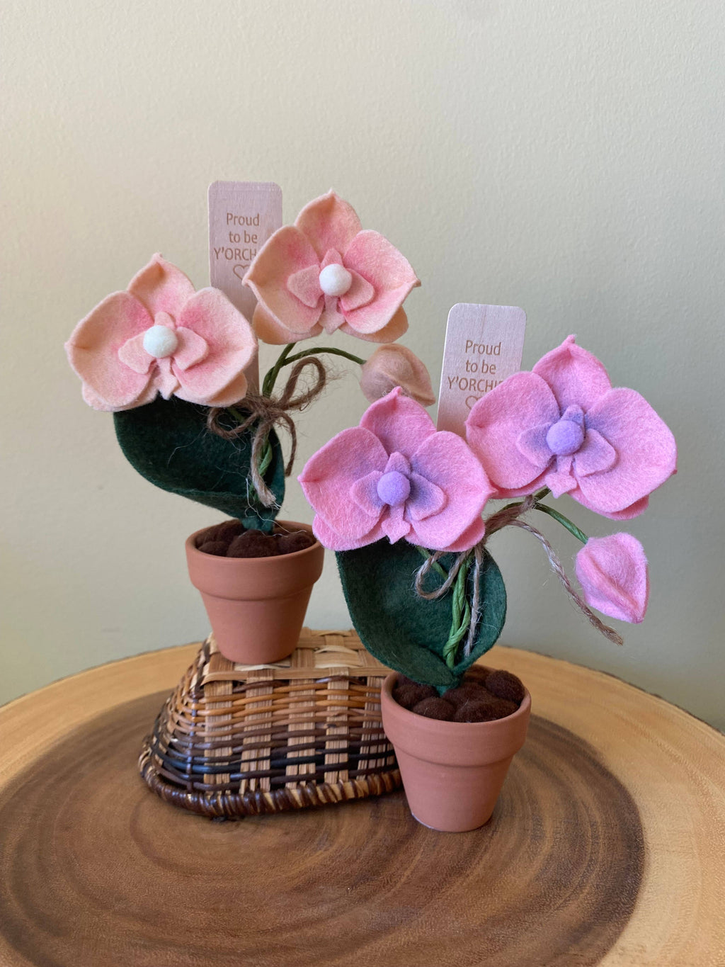 Felt Forever Flower | Proud to be Y’orchid” | Peach
