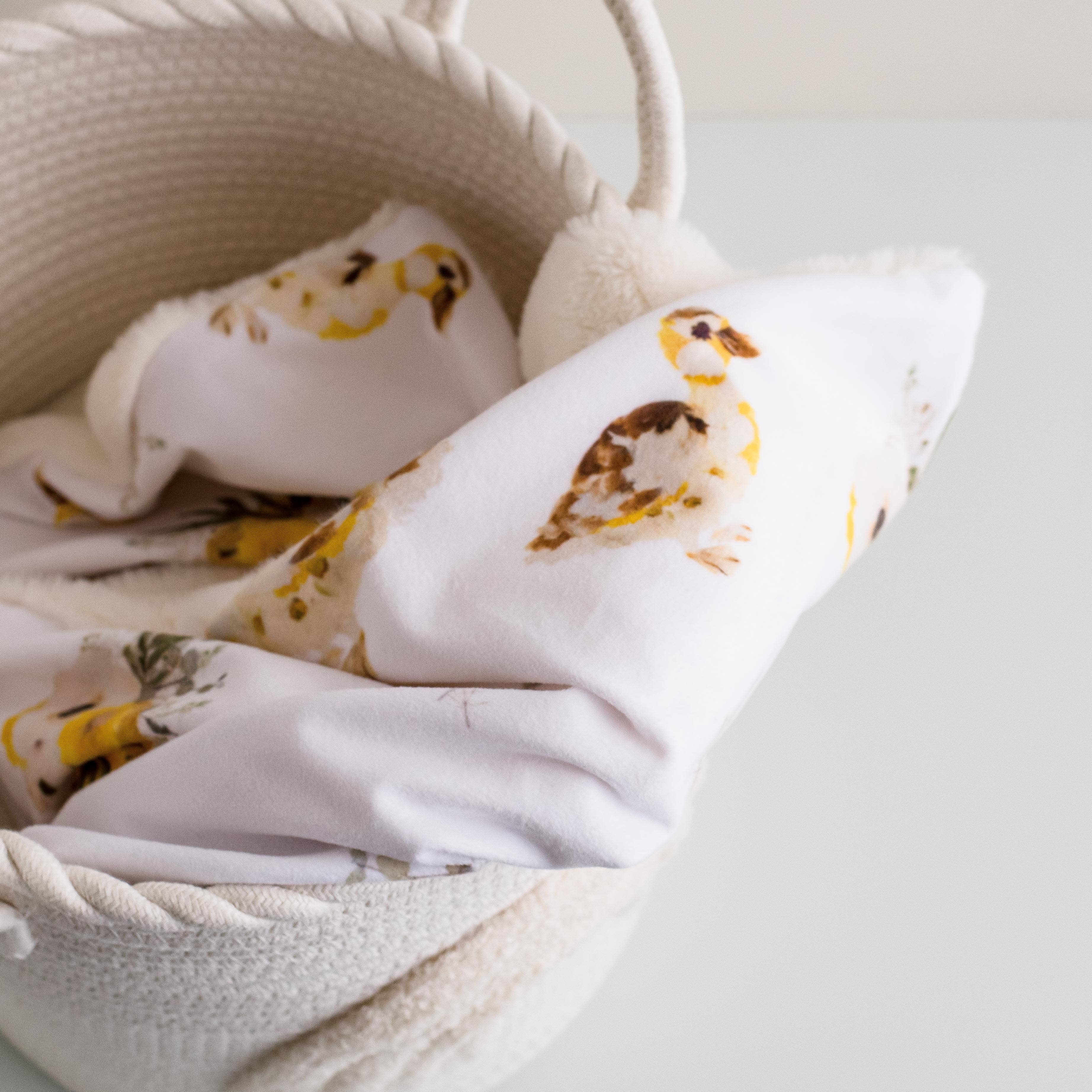 Ducklings Minky Baby Blanket