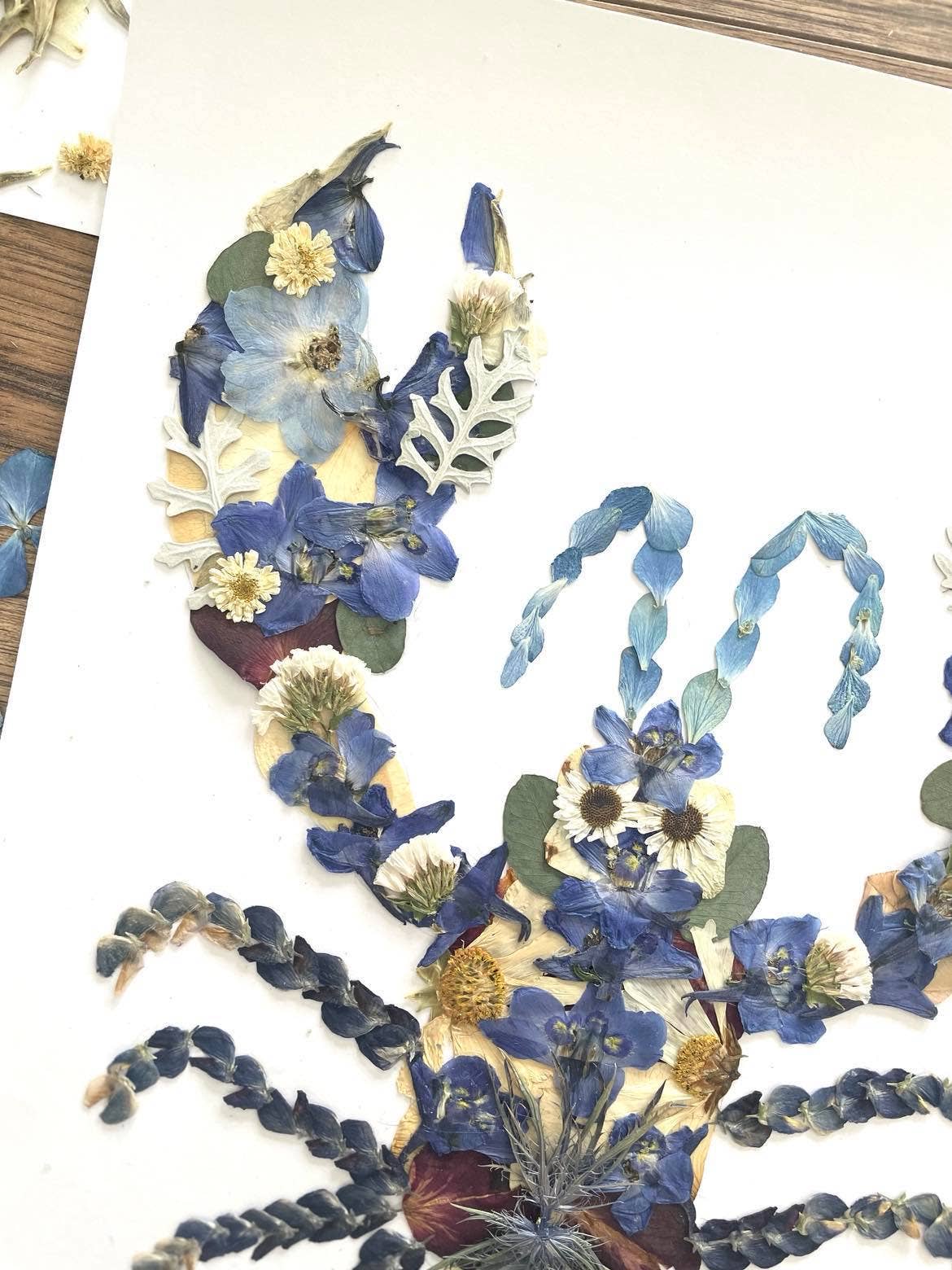 Lobster Blue Pressed Flowers, Pressed Flower Art Print: 8x10