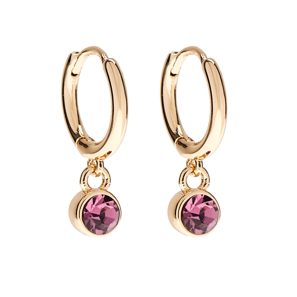 February Birthstone Stud + Huggie Hoop Earrings | Spring