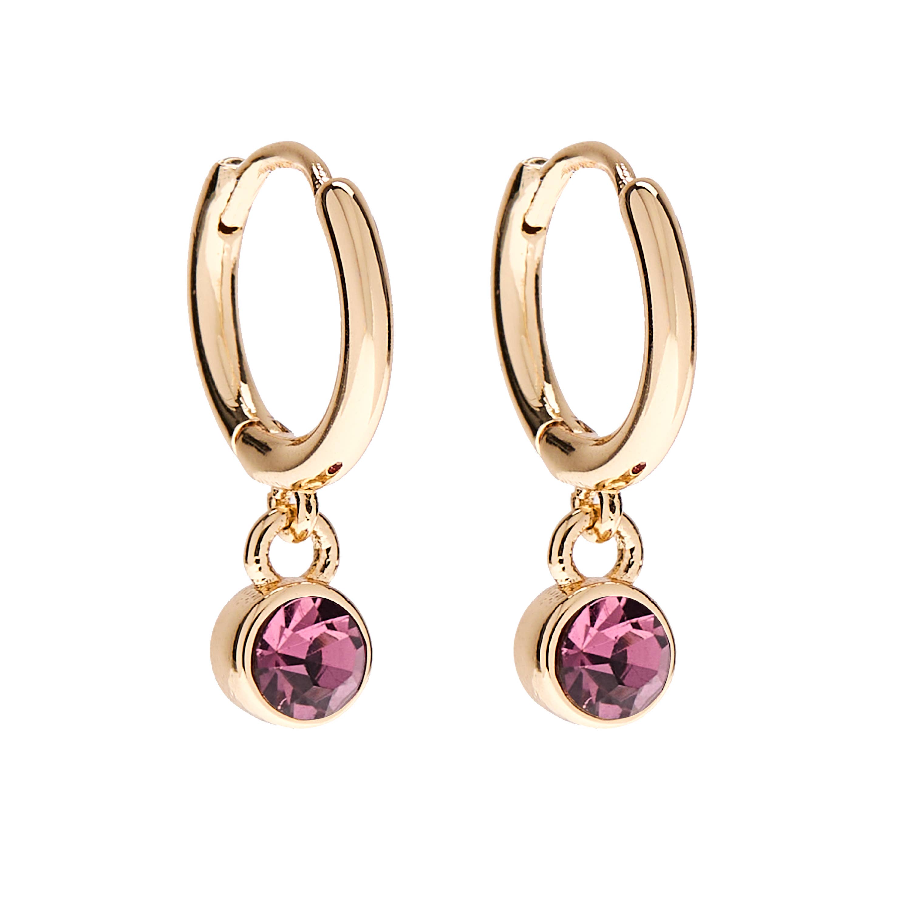February Birthstone Stud + Huggie Hoop Earrings | Spring