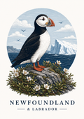 Newfoundland Playing Cards