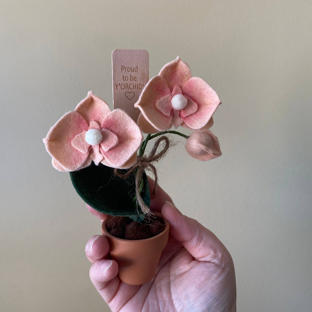 Felt Forever Flower | Proud to be Y’orchid” | Peach