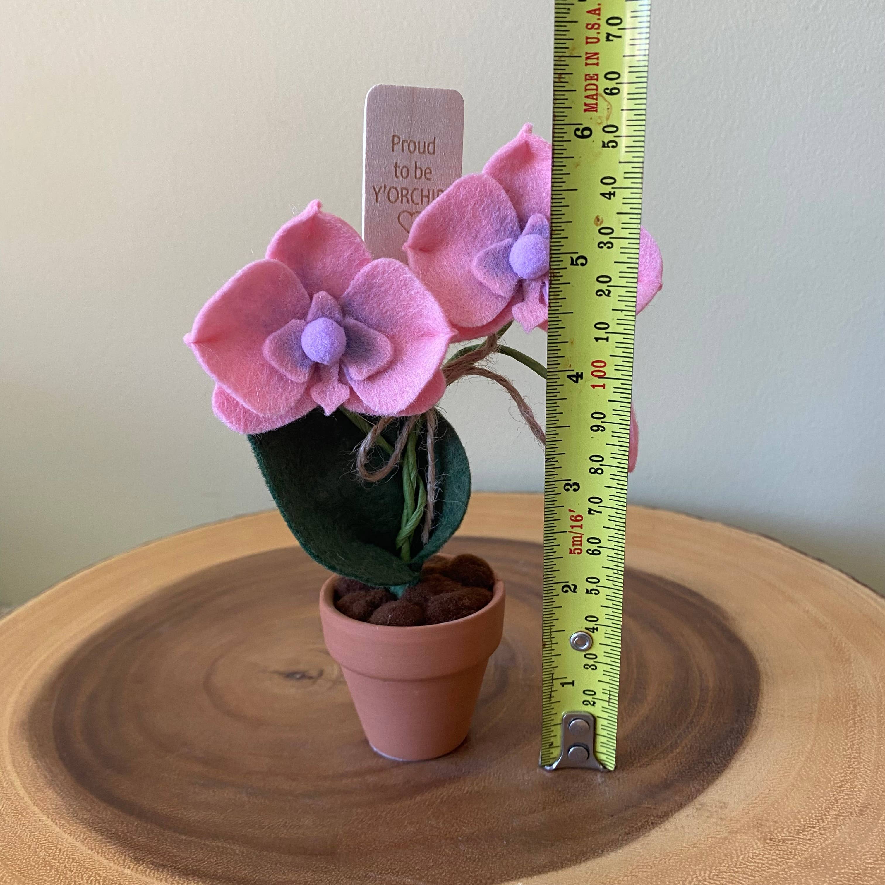 Felt Forever Flower | Proud to be Y’orchid” | Peach
