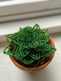 Large Beaded Succulent
