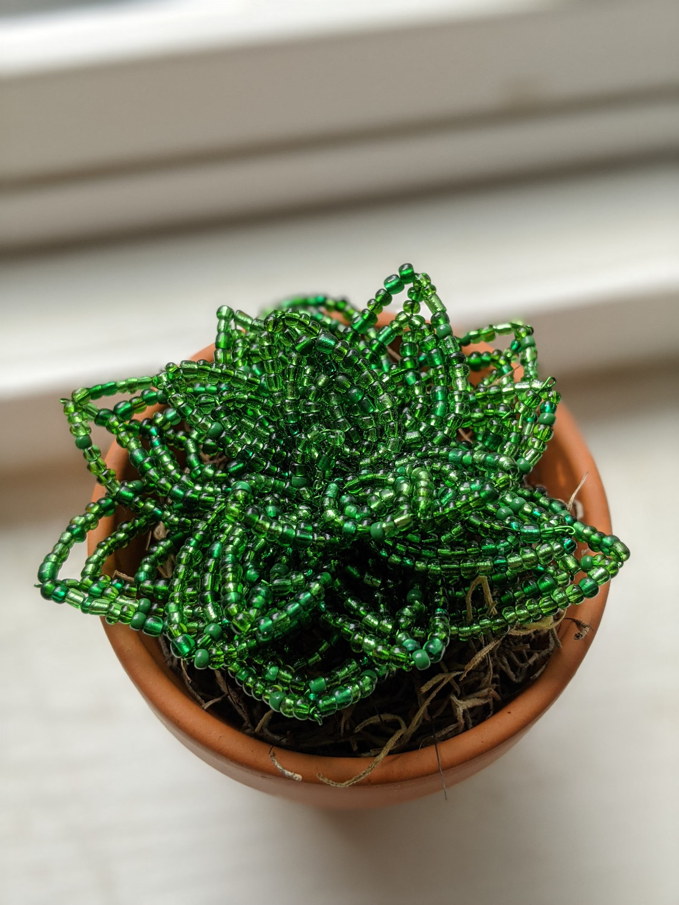 Large Beaded Succulent