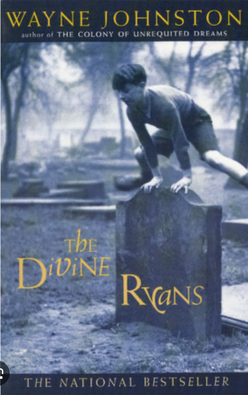 The Divine Ryans | Wayne Johnston