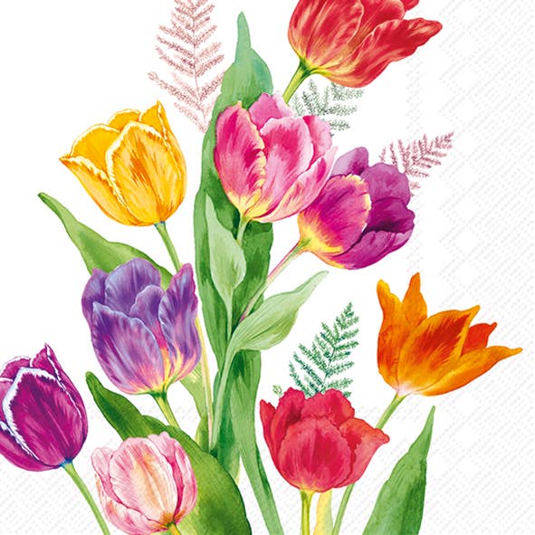 Cocktail Napkin 20pk - TULIPS