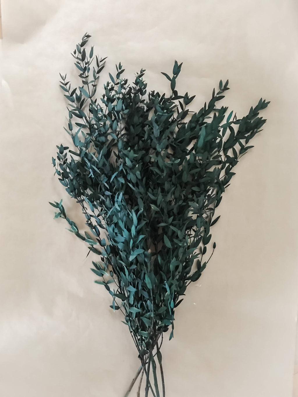 Teardrop, Dried/Preserved Flowers