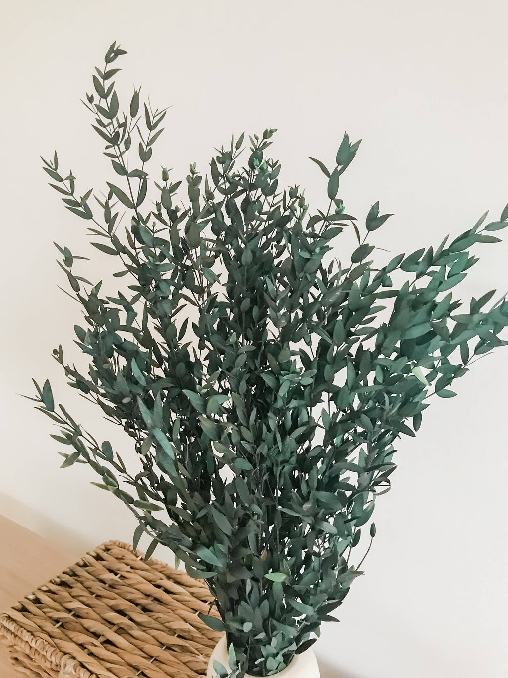 Teardrop, Dried/Preserved Flowers