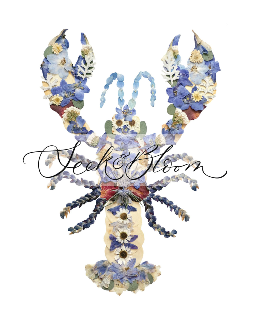 Lobster Blue Pressed Flowers, Pressed Flower Art Print: 8x10