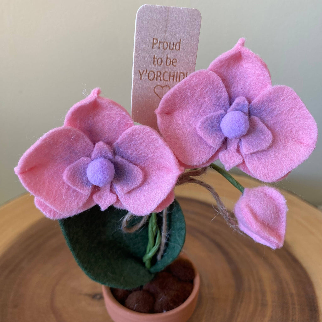 Felt Forever Flower | Proud to be Y’orchid” | Peach