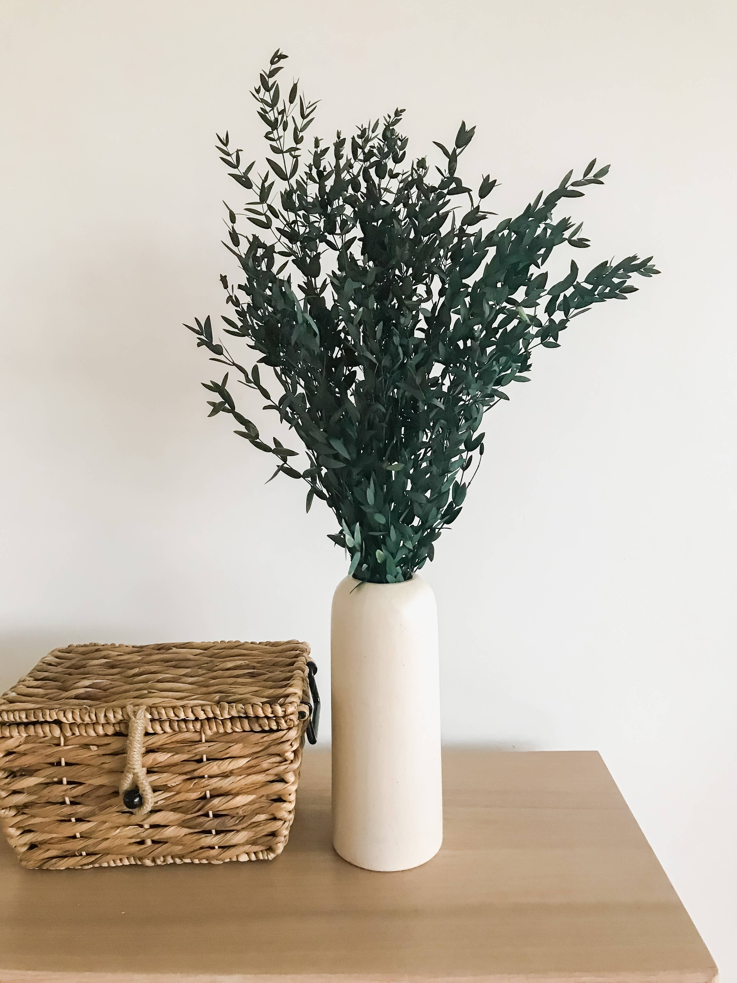 Teardrop, Dried/Preserved Flowers