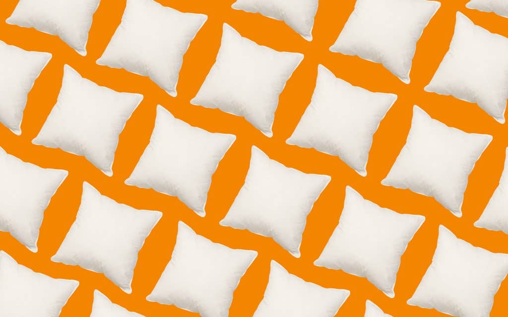 White Goose Feather Cushions