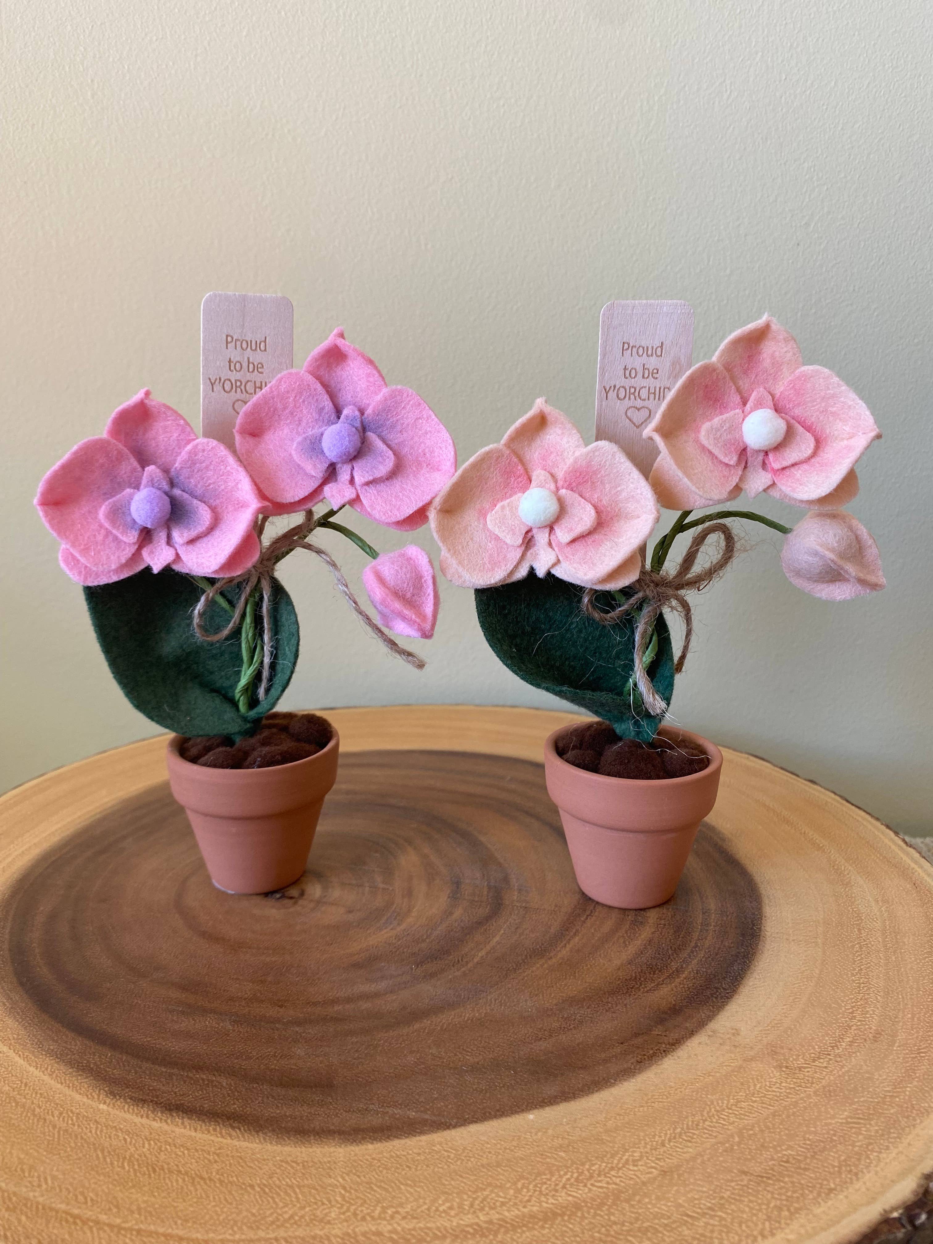 Felt Forever Flower | Proud to be Y’orchid” | Peach