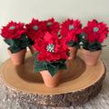 Christmas Mini Felt Poinsettia in Terracotta Pot