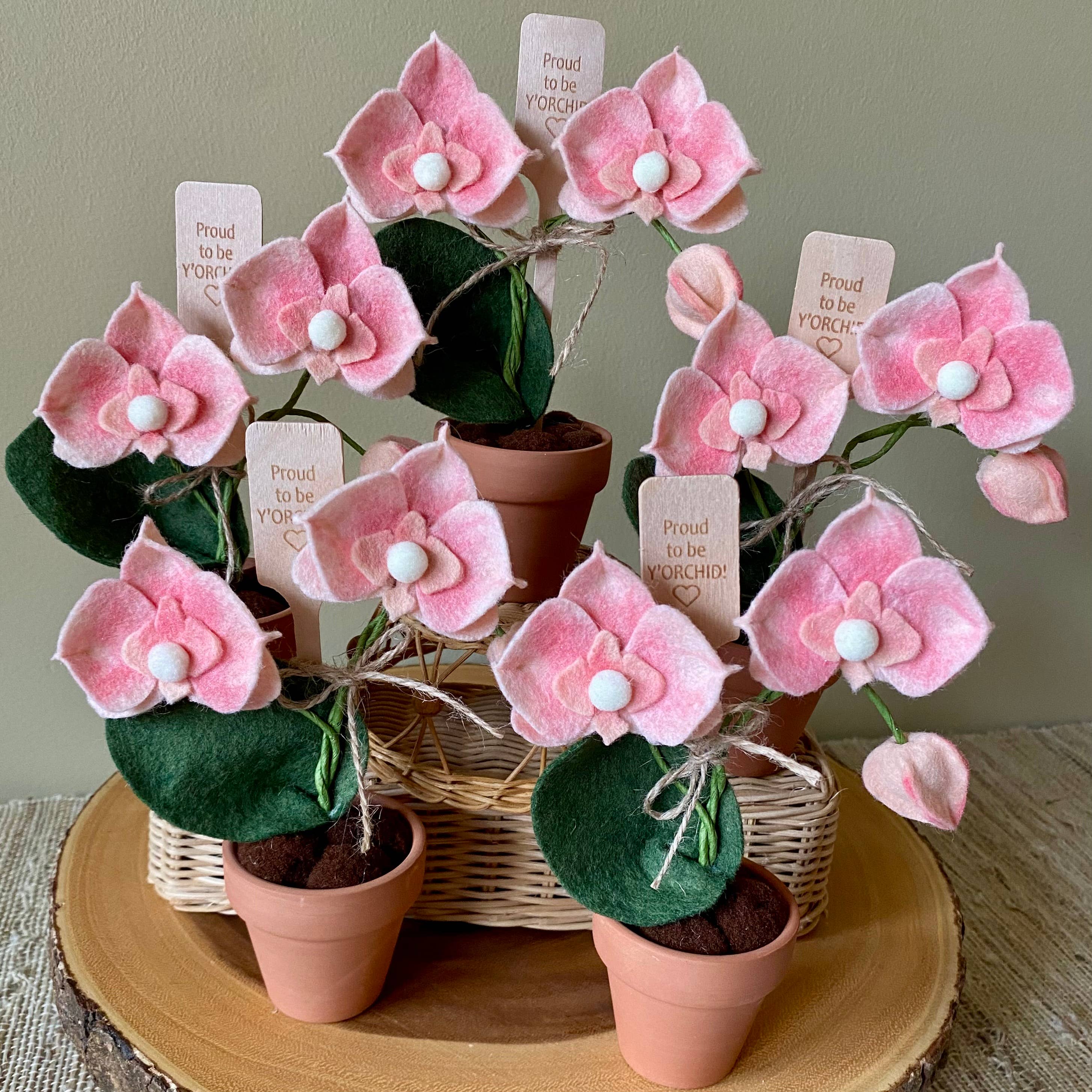 Felt Forever Flower | Proud to be Y’orchid” | Peach